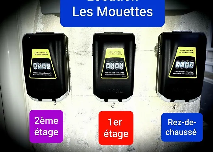 Les Mouettes 2